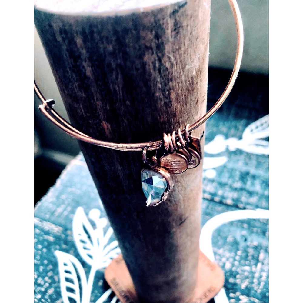 Alex and Ani Energy Charm Bracelet